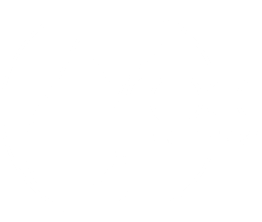 Fogg Surgical Anatomy logo